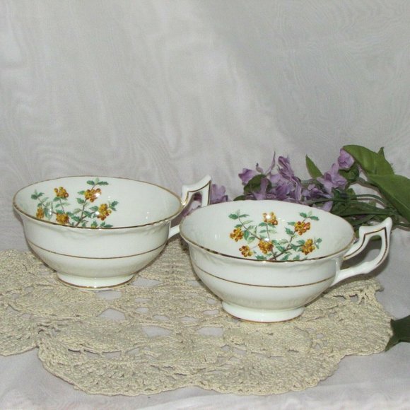 2 Antique Royal Cauldon Barberry Bone China Cottagecore Teacups no saucers - Picture 8 of 8